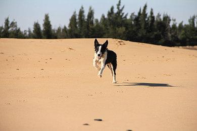 《最终幻想7：重生》PS5独占期将持续到5月29日